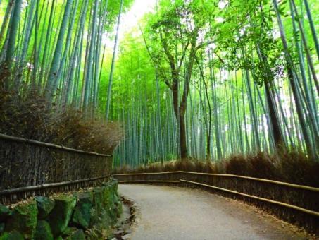 Cochien Imperial Garden Villa Kyoto Exterior photo